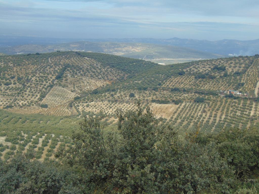 Hotel Sierra De Araceli Lucena Eksteriør bilde